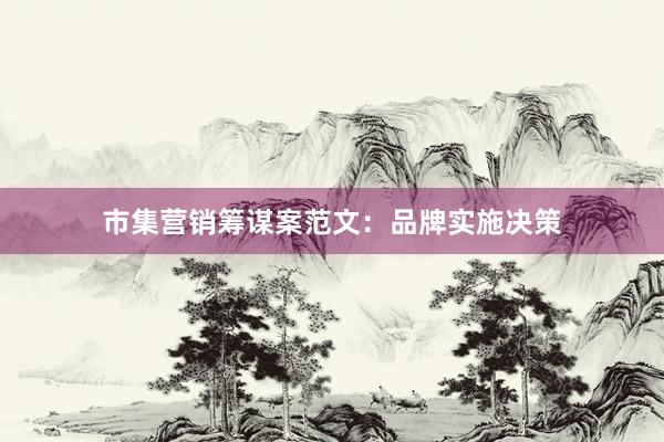 市集营销筹谋案范文：品牌实施决策